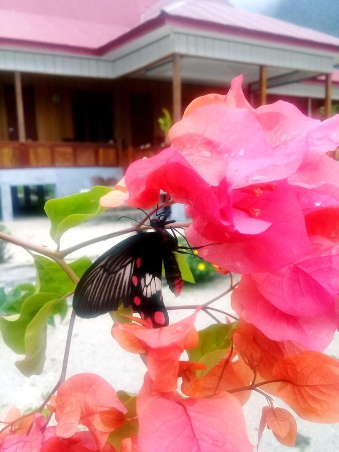 Nusa Nalan Beach Resort Rumah Olat Exterior photo